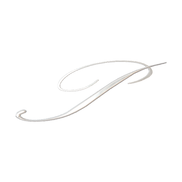 Il a été mis en mouvement Palomo Logo