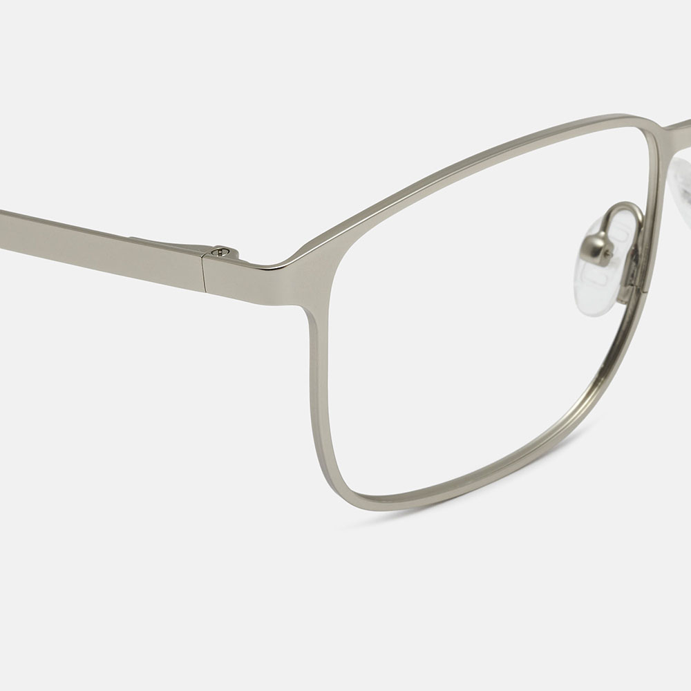 A déclaré sbiwbid, silver/réseau, large image number 2